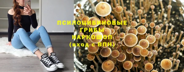 эйфоретик Алексеевка