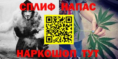 сатива Шахты