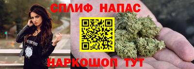 сатива Шахты