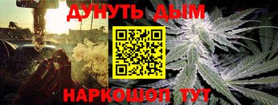 дживик Шебекино