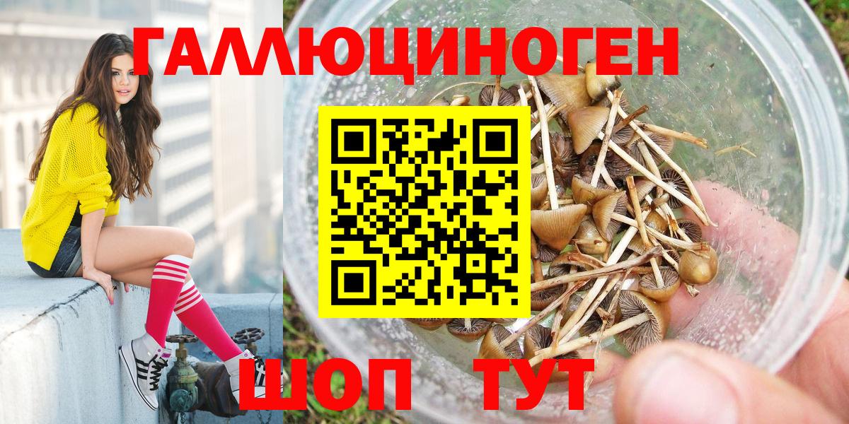 Псилоцибиновые грибы GOLDEN TEACHER Краснотурьинск